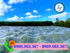 Lưới chống côn trùng là gì? Mua đâu rẻ?