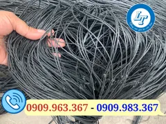 LƯỚI TRỒNG BẦU BÍ MUA Ở ĐÂU RẺ?