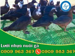 BÁO GIÁ LƯỚI NHỰA NUÔI GÀ CÁC LOẠI TẠI LÊ THANH