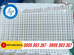SÀN NHỰA NGUYÊN SINH NUÔI DÊ BỀN BỈ GIÁ TẠI NHÀ MÁY