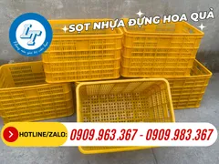 BÁO GIÁ SỌT NHỰA ĐỰNG TRÁI CÂY TẠI NHÀ MÁY