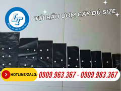 TÚI BẦU ƯƠM CÂY GIỐNG, HẠT GIỐNG GIÁ SỈ THEO KG