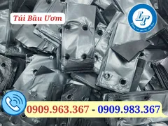 Mua túi bầu ươm cây giá sỉ ở đâu?