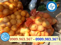 Túi lưới đựng trái cây mua ở đâu giá rẻ TPHCM