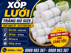 XƯỞNG SẢN XUẤT & BÁN BUÔN XỐP BỌC ỔI LỒNG SẴN TẠI TPHCM