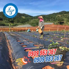 MÀNG PHỦ NÔNG NGHIỆP ĐỤC LỖ SẴN
