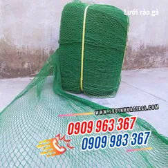 LƯỚI CƯỚC RÀO GÀ