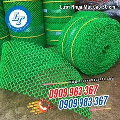 LƯỚI NHỰA MẮT CÁO 30 CM