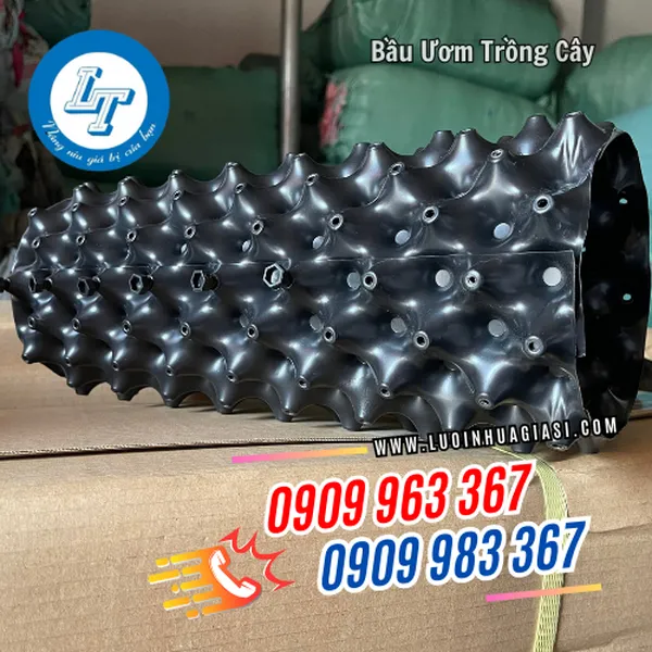 BẦU ƯƠM TRỒNG CÂY