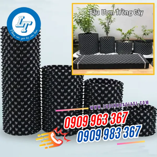 BẦU ƯƠM TRỒNG CÂY