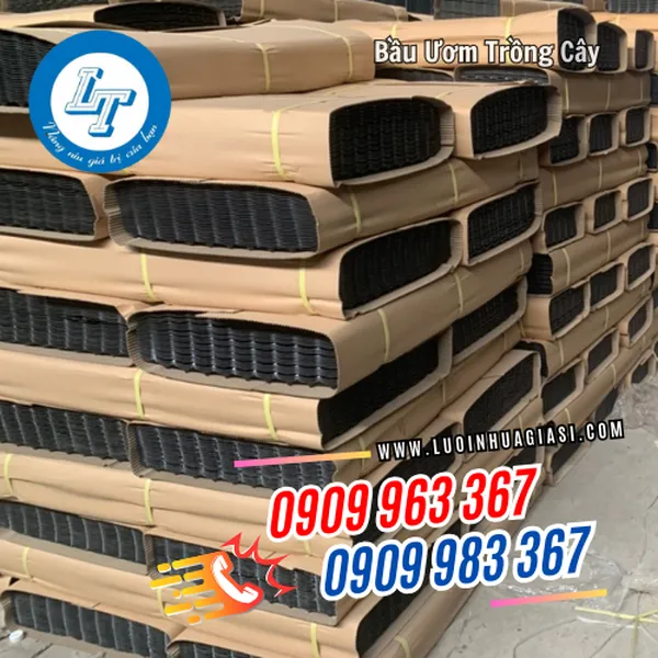 BẦU ƯƠM TRỒNG CÂY