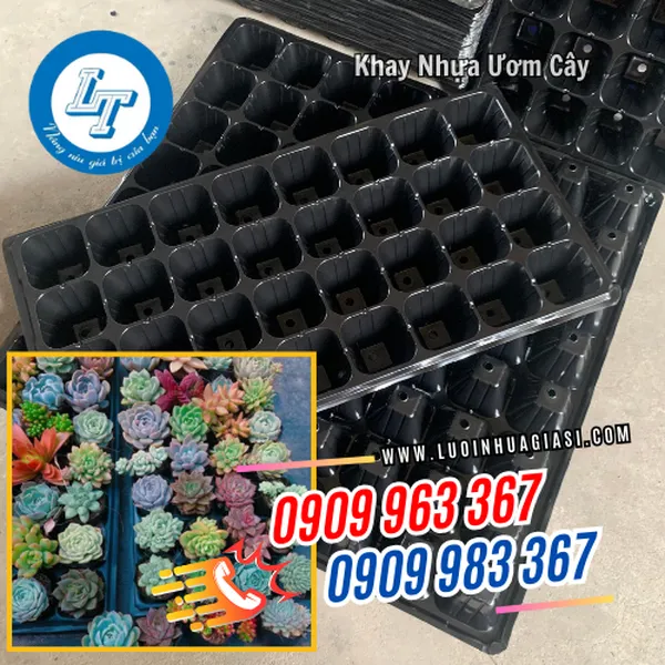 KHAY NHỰA ƯƠM CÂY