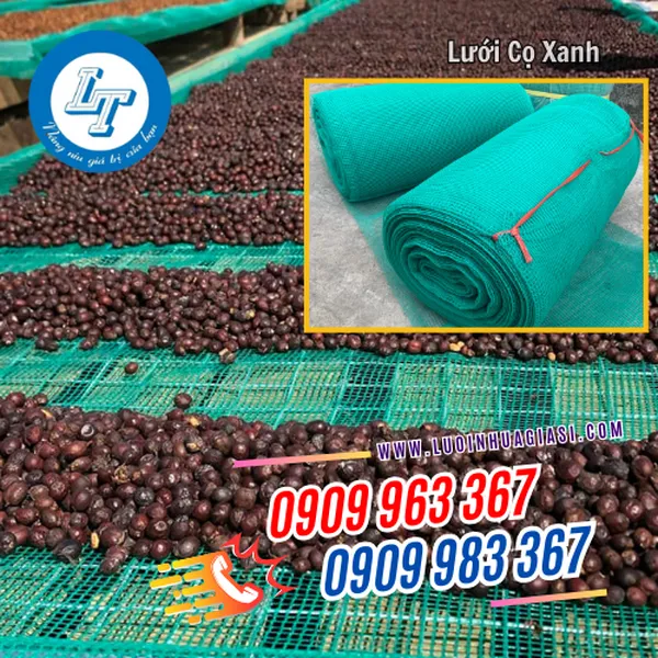 LƯỚI CỌ XANH (LƯỚI CƯỚC Ô VUÔNG)
