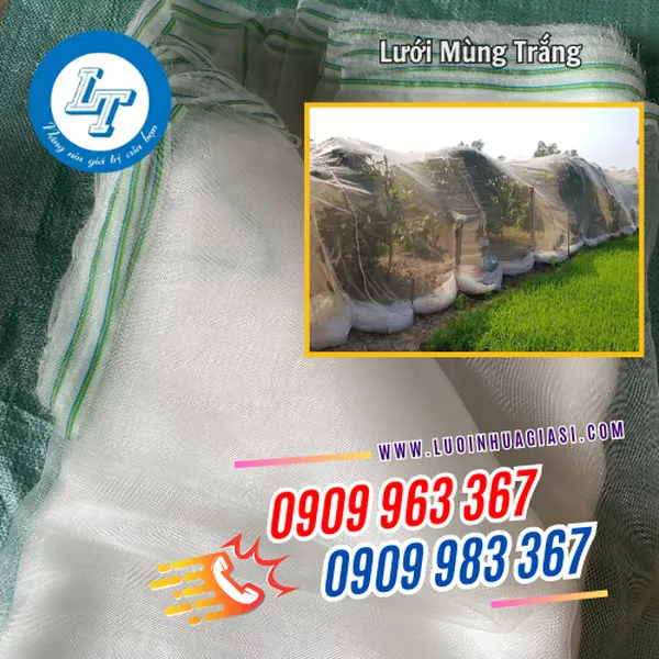 LƯỚI MÙNG TRẮNG