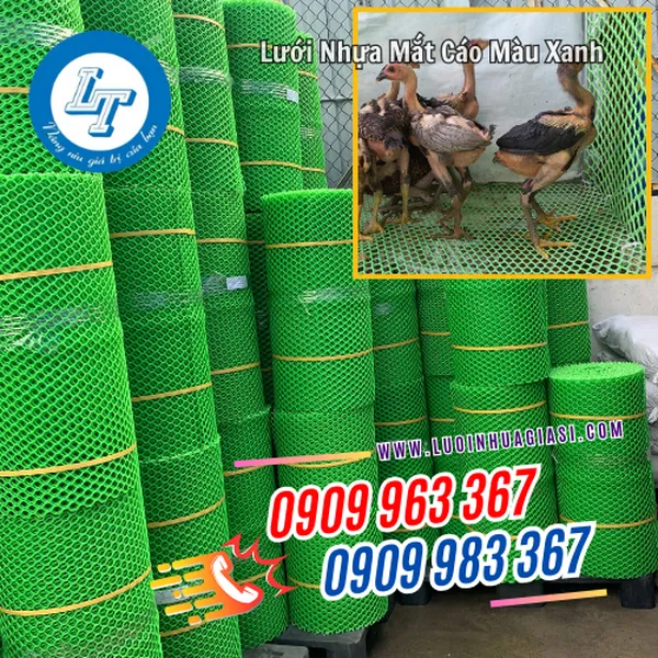 LƯỚI NHỰA MẮT CÁO MÀU XANH