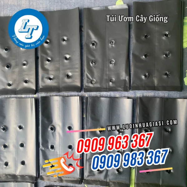 TÚI ƯƠM CÂY GIỐNG