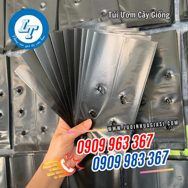 TÚI ƯƠM CÂY GIỐNG