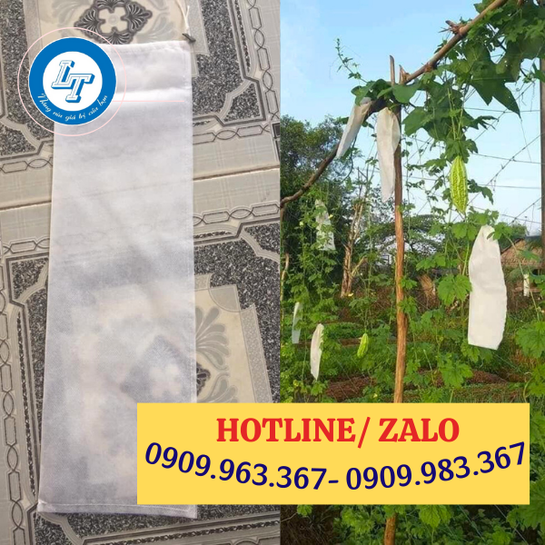 NƠI BÁN TÚI BAO KHỔ QUA NGĂN ONG CHÍCH GIÁ RẺ NHẤT túi bao khổ qua