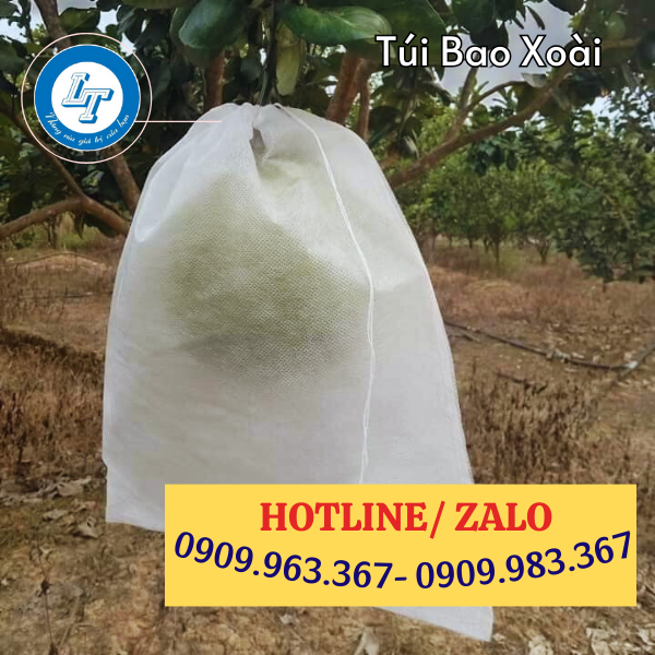 PHÂN PHỐI SỈ TÚI BAO XOÀI TỪ VẢI KHÔNG DỆT túi bao trái cây