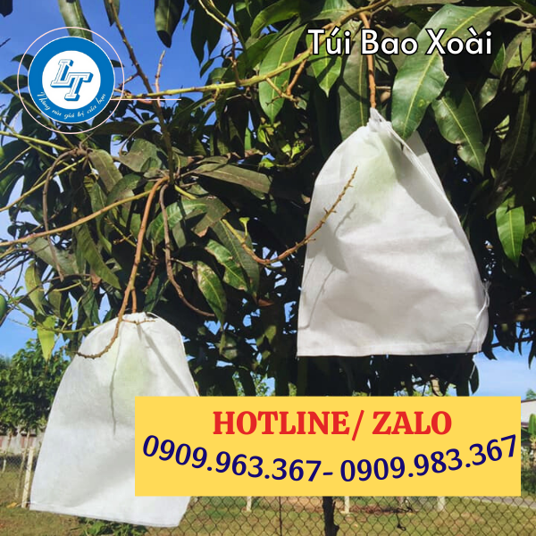 PHÂN PHỐI SỈ TÚI BAO XOÀI TỪ VẢI KHÔNG DỆT túi bao xoài