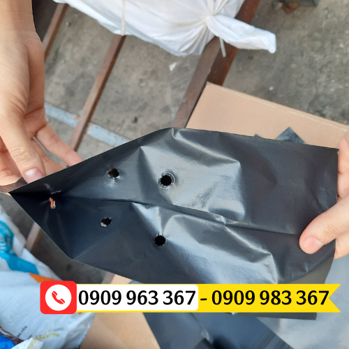 Mua túi bầu ươm cây giá sỉ rẻ tại TPHCM túi bầu ươm cây đen