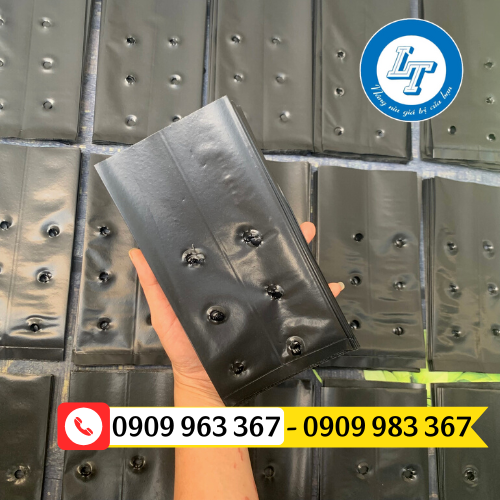 Địa chỉ bán túi ươm cây giống giá rẻ đủ kích thước túi bầu ươm cây