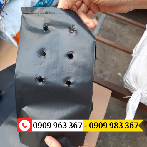 Địa chỉ bán túi ươm cây giống giá rẻ đủ kích thước túi bầu ươm đục lỗ