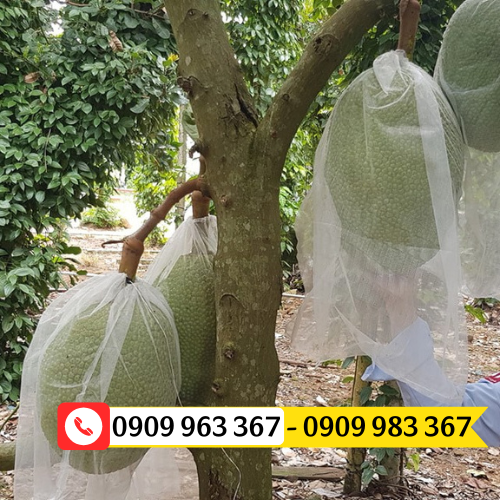 Túi lưới bao trái cây giá sỉ rẻ túi lưới bao mít