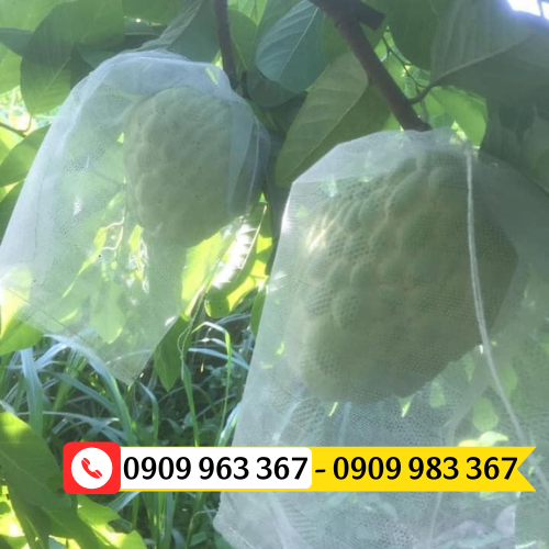 Túi lưới bao trái cây giá sỉ rẻ túi lưới bọc na