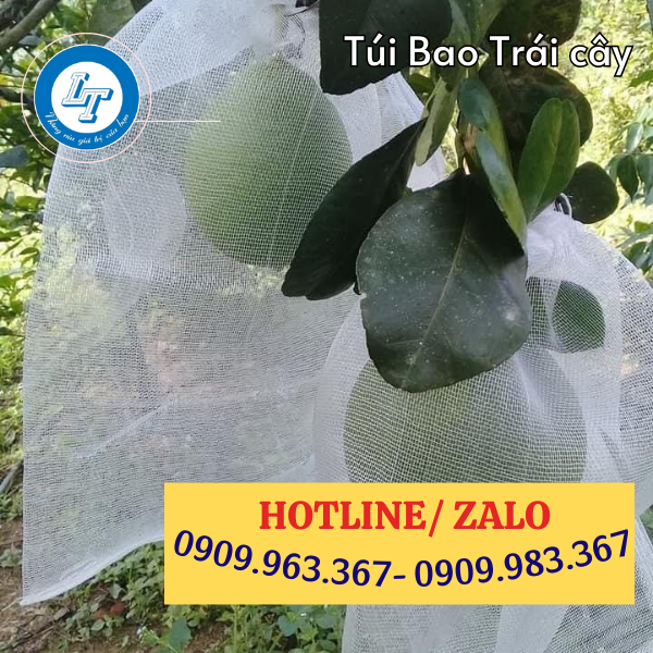 TÚI LƯỚI BỌC BẢO VỆ TRÁI CÂY GIÁ SỈ túi lưới bọc bưởi