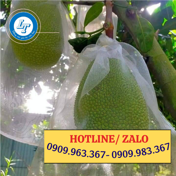 ĐẠI LÝ BỎ SỈ TÚI LƯỚI CƯỚC BỌC TRÁI NHIỀU KÍCH THƯỚC túi lưới cước bao mít
