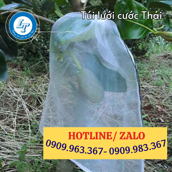 BÁN TÚI LƯỚI CƯỚC THÁI BAO TRÁI CÂY SIÊU BỀN RẺ túi lưới bao mít