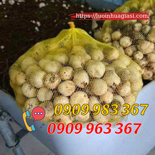 Bán túi lưới đựng nông sản giá rẻ TPHCM túi lưới đựng nấm rơm