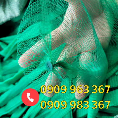 Túi lưới đựng trái cây mua ở đâu giá rẻ TPHCM túi lưới nhựa màu xanh
