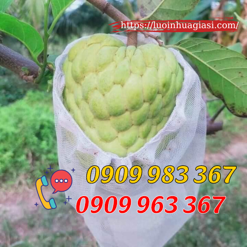 Mua túi bọc trái cây ở đâu giá rẻ? túi lưới bọc na