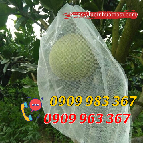 Mua túi bọc trái cây ở đâu giá rẻ? túi lưới bọc bưởi
