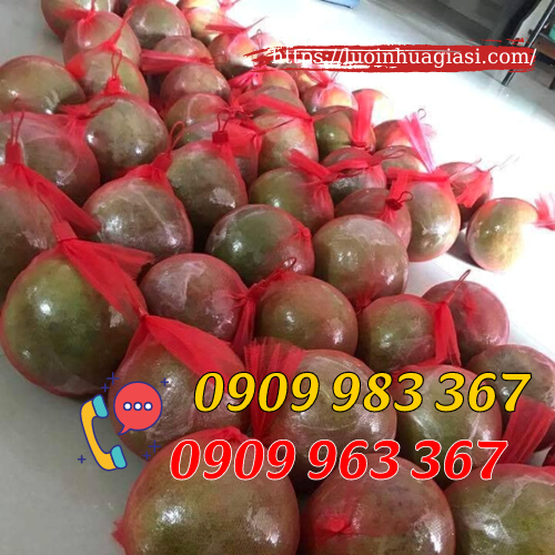 Túi lưới đóng hoa quả màu đỏ giá sỉ rẻ túi lưới nhựa màu đỏ bọc bưởi