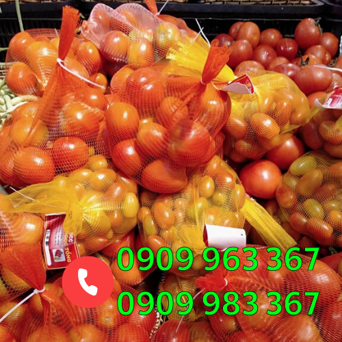 Túi lưới nhựa màu xanh, vàng, đỏ giá rẻ túi lưới nhựa đựng hoa quả