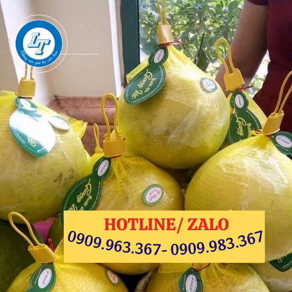 Cung cấp túi lưới nhựa đựng hoa quả các loại giá rẻ túi lưới bao bưởi