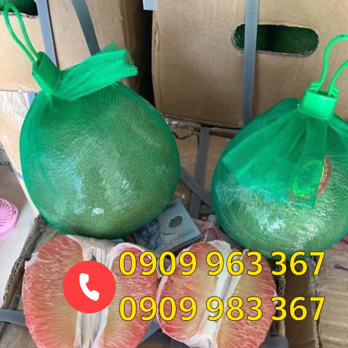 Túi lưới màu xanh bọc bưởi giá rẻ bán kí túi lưới đựng bưởi