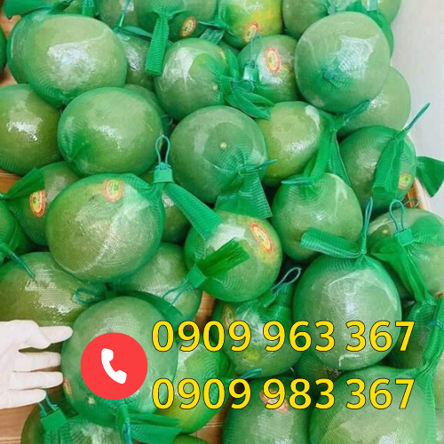 Túi lưới màu xanh bọc bưởi giá rẻ bán kí bưởi bọc túi riêng từng quả