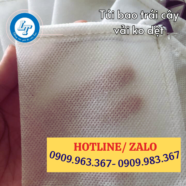 PHÂN PHỐI SỈ TÚI BAO XOÀI TỪ VẢI KHÔNG DỆT túi vải không dệt