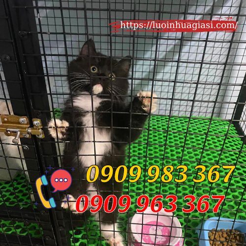 Ứng dụng thực tế của lưới mắt cáo nhựa lưới nhựa mắt cáo lót sàn nuôi động vật