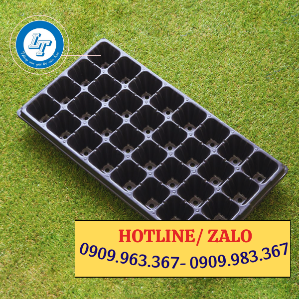 VỈ NHỰA ƯƠM CÂY GIỐNG MUA Ở ĐÂU GIÁ RẺ vỉ nhựa ươm hạt giống