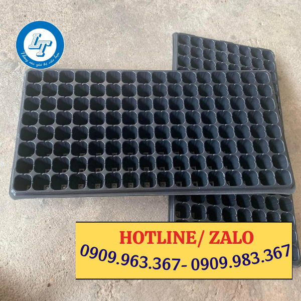 VỈ NHỰA ƯƠM CÂY GIỐNG MUA Ở ĐÂU GIÁ RẺ vỉ nhựa ươm cây