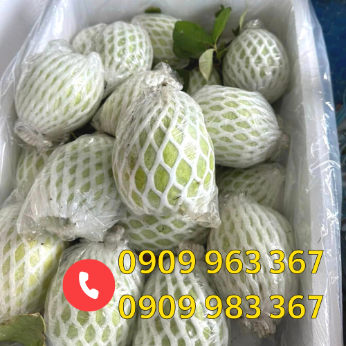 Bán xốp bọc ổi giá rẻ hàng có sẵn xốp ổi lồng sẵn