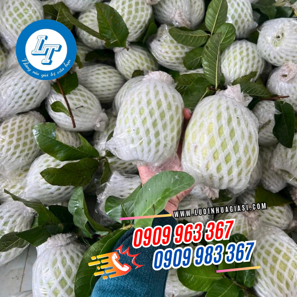 XƯỞNG SẢN XUẤT & BÁN BUÔN XỐP BỌC ỔI LỒNG SẴN TẠI TPHCM xốp bao ổi lồng sẵn