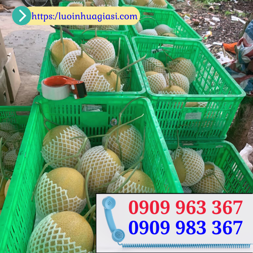 Xốp lưới to đại 30cm bọc trái cây rau củ giá rẻ xốp lưới bao dưa