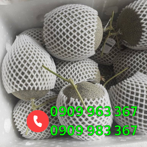 Cơ sở sản xuất bọc xốp trái cây giá rẻ tại TPHCM xốp lưới 22cm bao dưa lưới