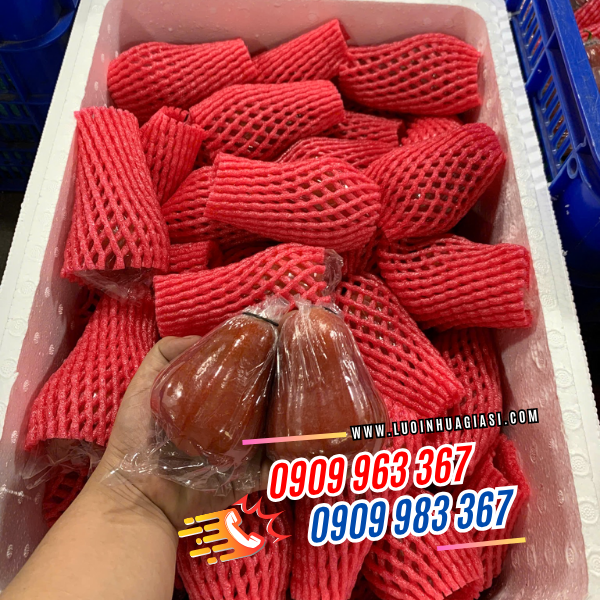 CUNG CẤP SỈ XỐP LƯỚI ĐỎ BỌC MẬN, ROI GIÁ TỐT CUNG CẤP SỈ XỐP LƯỚI ĐỎ BỌC MẬN, ROI GIÁ TỐT